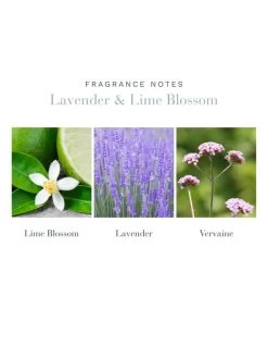 Lavender & Lime Blossom Body Moisturizer -Home Furnishings 5llb 600x 4e986f0e c647 46d2 af03 c7dc2fcbe6a2