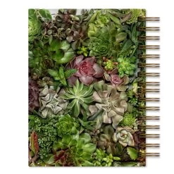 Collective Succulents Journal -Home Furnishings Coll Succ B 2000x eb3ebc92 adad 49c4 bdb0 1f2580178223