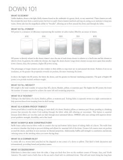 Utopia Icelandic Eiderdown Pillow -Home Furnishings Down101Sferra 06cf493e c8d7 4fab 8cb6 5b406e1fb9d0