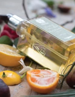 Fig Leaf Hand & Body Wash -Home Furnishings HWFIG 2 600x deb6b37f bf04 4dd1 a564 df0c3cf32560