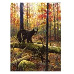 Robert Tino Out For Adventure Puzzle