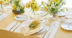 Festival Placemats -Home Furnishings chris hp x1000 bfbd3970 06a6 4b95 b5c3 222cb7cf7817