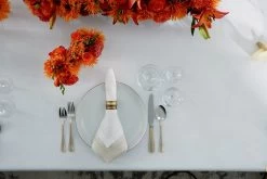 Classico Table Linens -Home Furnishings sferra classico f2019 product