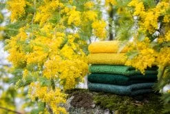 Super Pile Bath Towel Collection -Home Furnishings superpile 1