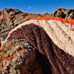 Super Pile Bath Towel Collection -Home Furnishings superpileray